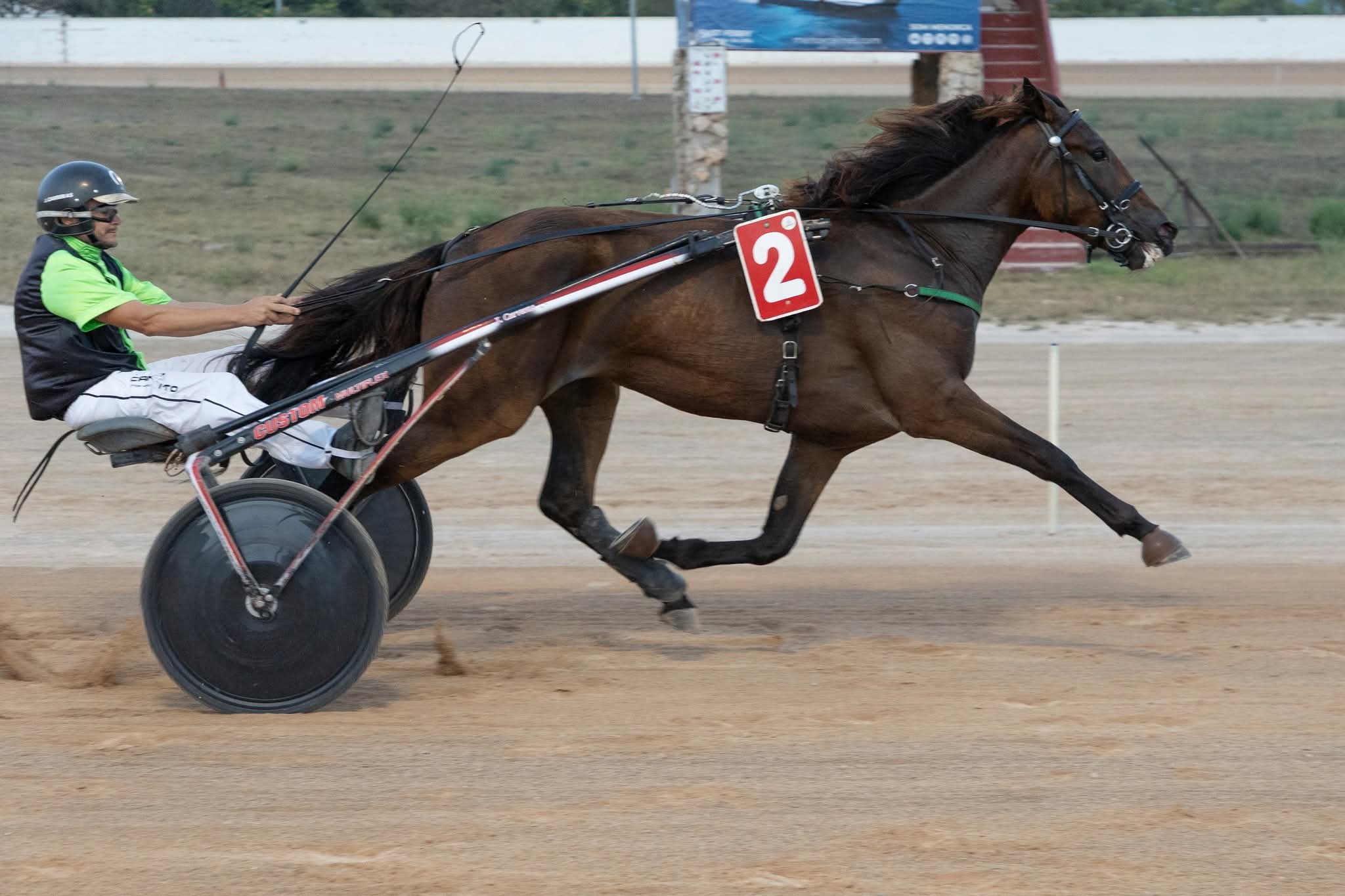 Hipodromo maó juliol 2026