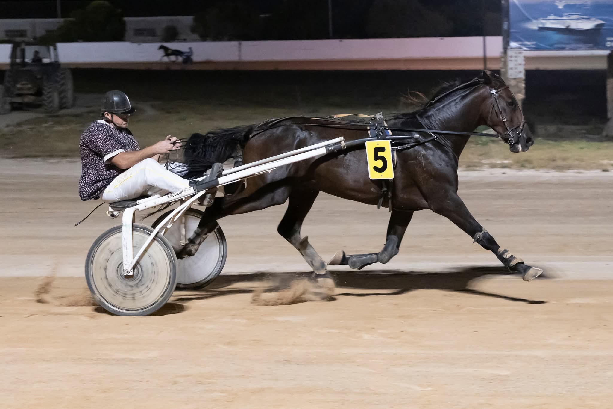 Hipodromo maó juliol 2026