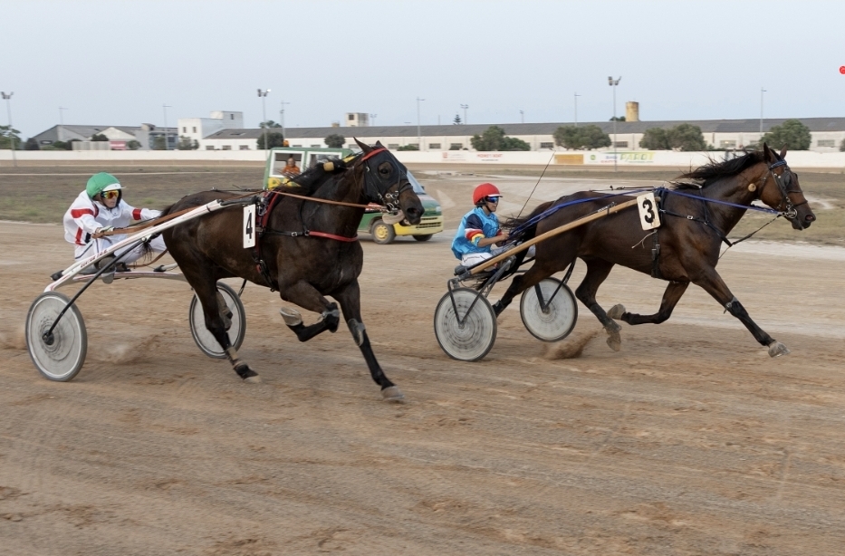 Hipodromo maó juliol 2026