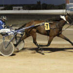 Hipodromo Maó 3/7/26