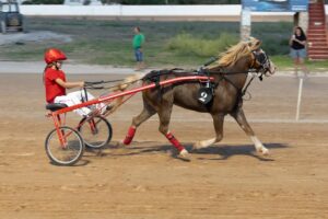 Hipódromo Municipal de Maó 4/9/26