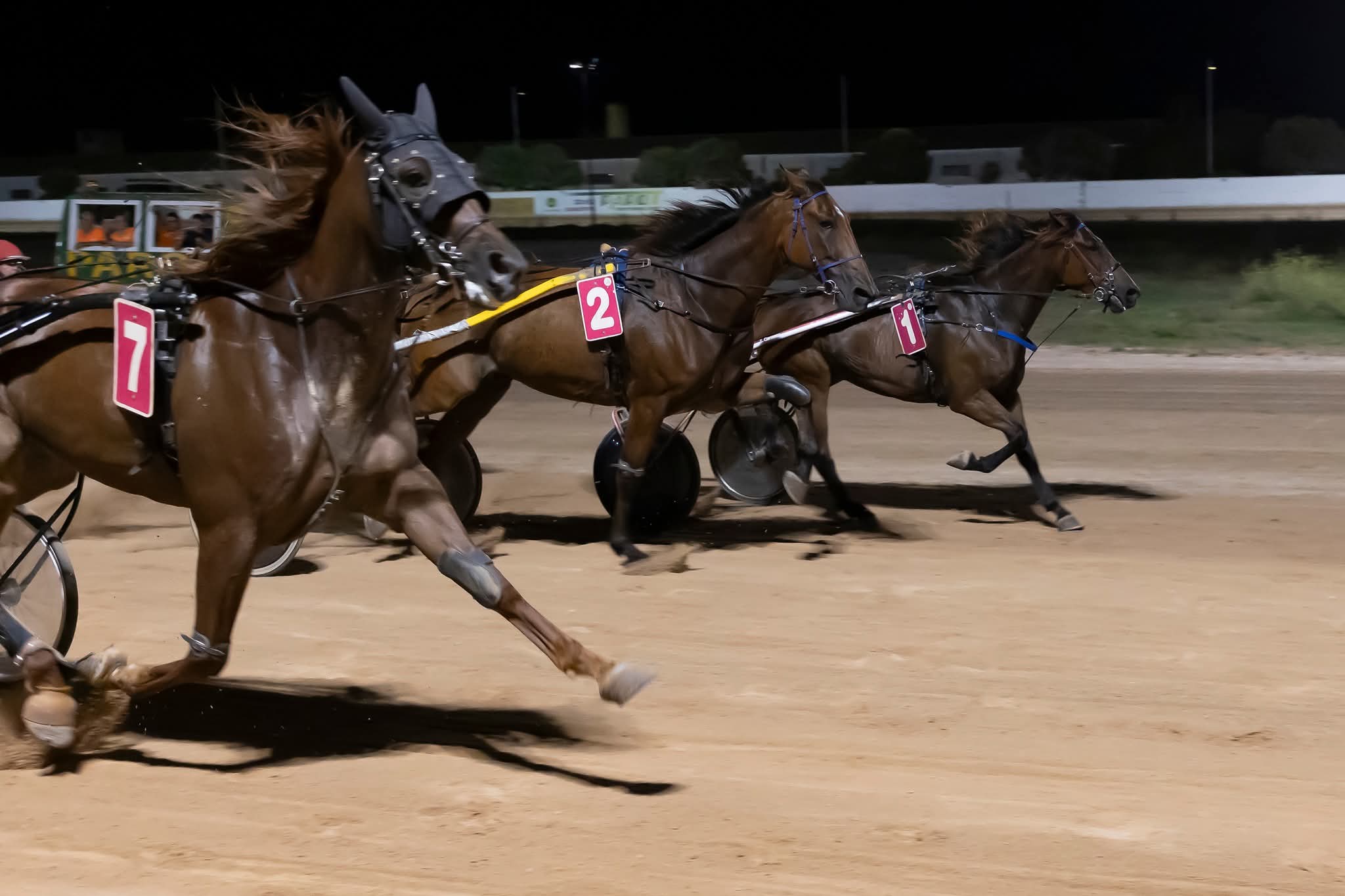 Hipódromo Municipal de Maó 4/9/26