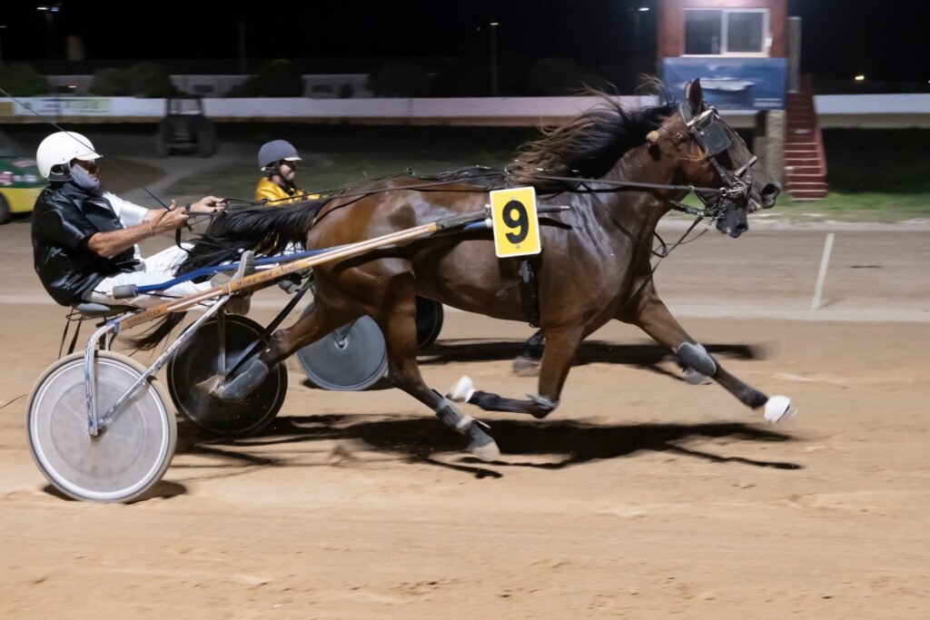 Hipódromo Municipal de Maó 19/9/26