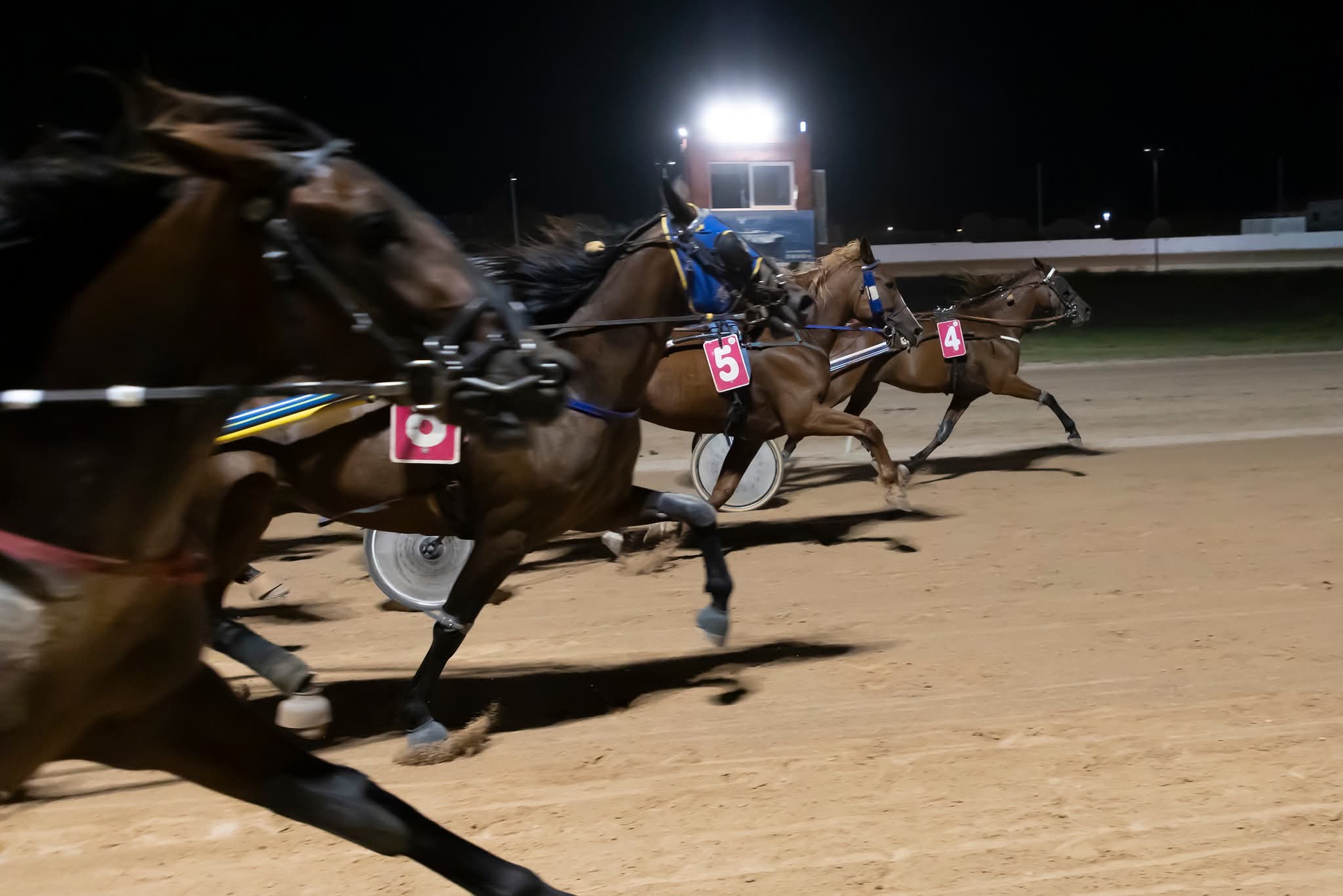 Hipódromo Municipal de Maó 19/9/26