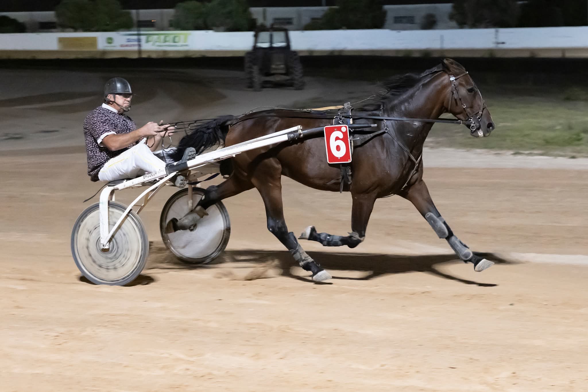 Hipódromo Maó 25 septembre 2026