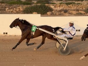Hipodromo torre del Ram 6/9/2026